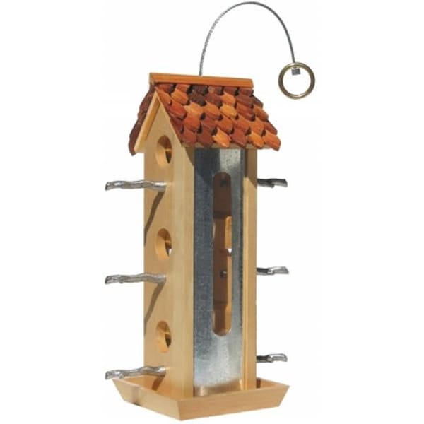 Daretocare victor Fresh Designs Tin Jay Bird Feeder DA83074 - main